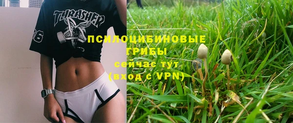 мет Грязовец