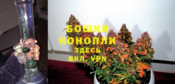 дживик Протвино