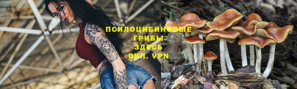 скорость Алексин