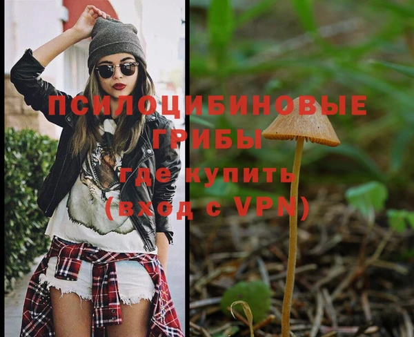 mix Алексеевка