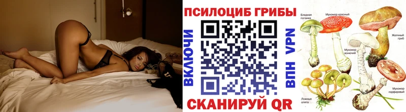 Псилоцибиновые грибы Psilocybe  ОМГ ОМГ ONION  Грязовец 